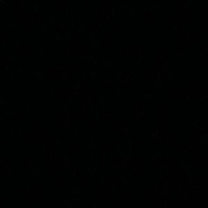 Meet your Posher, Stefanie